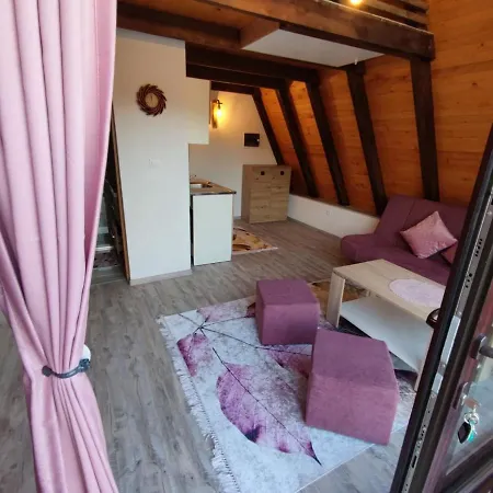 Dom wakacyjny Dream House *