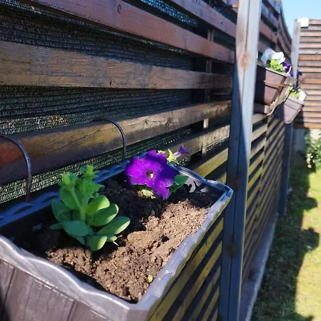 Dream House Сasa de vacaciones